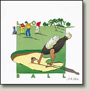 Lost Ball